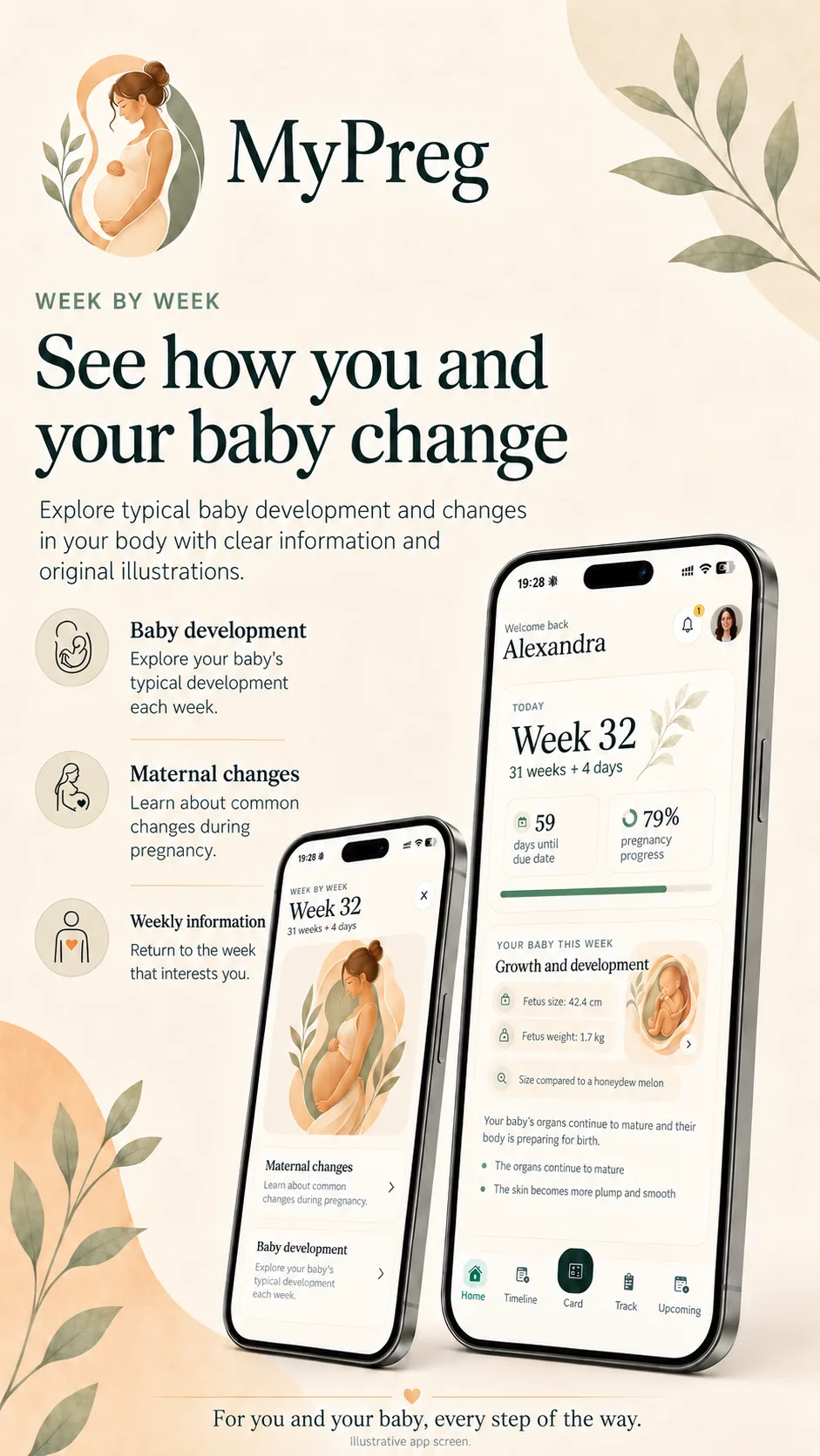 MyPreg: typical baby development and maternal changes week by week