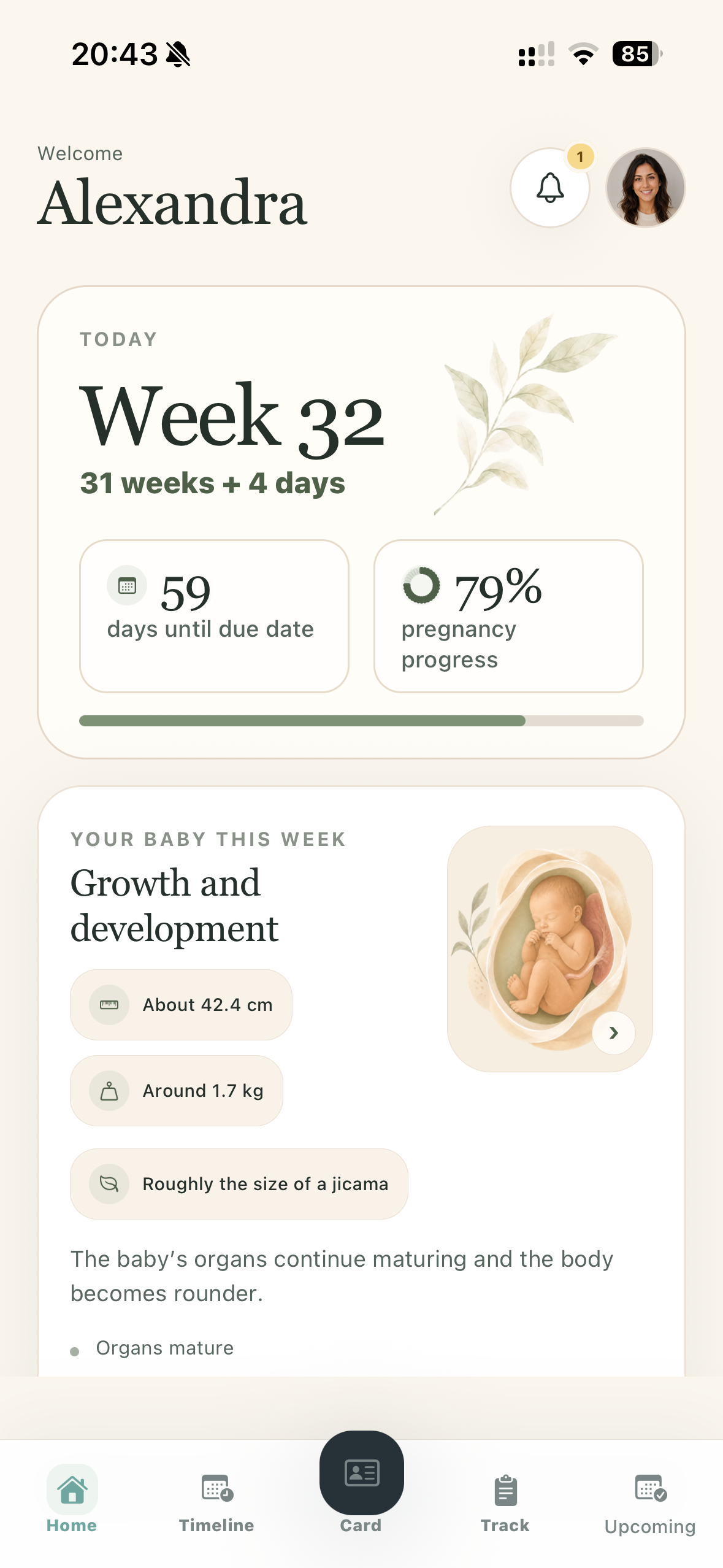 MyPreg home pregnancy overview